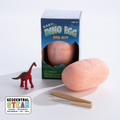 Dino in Egg Kit