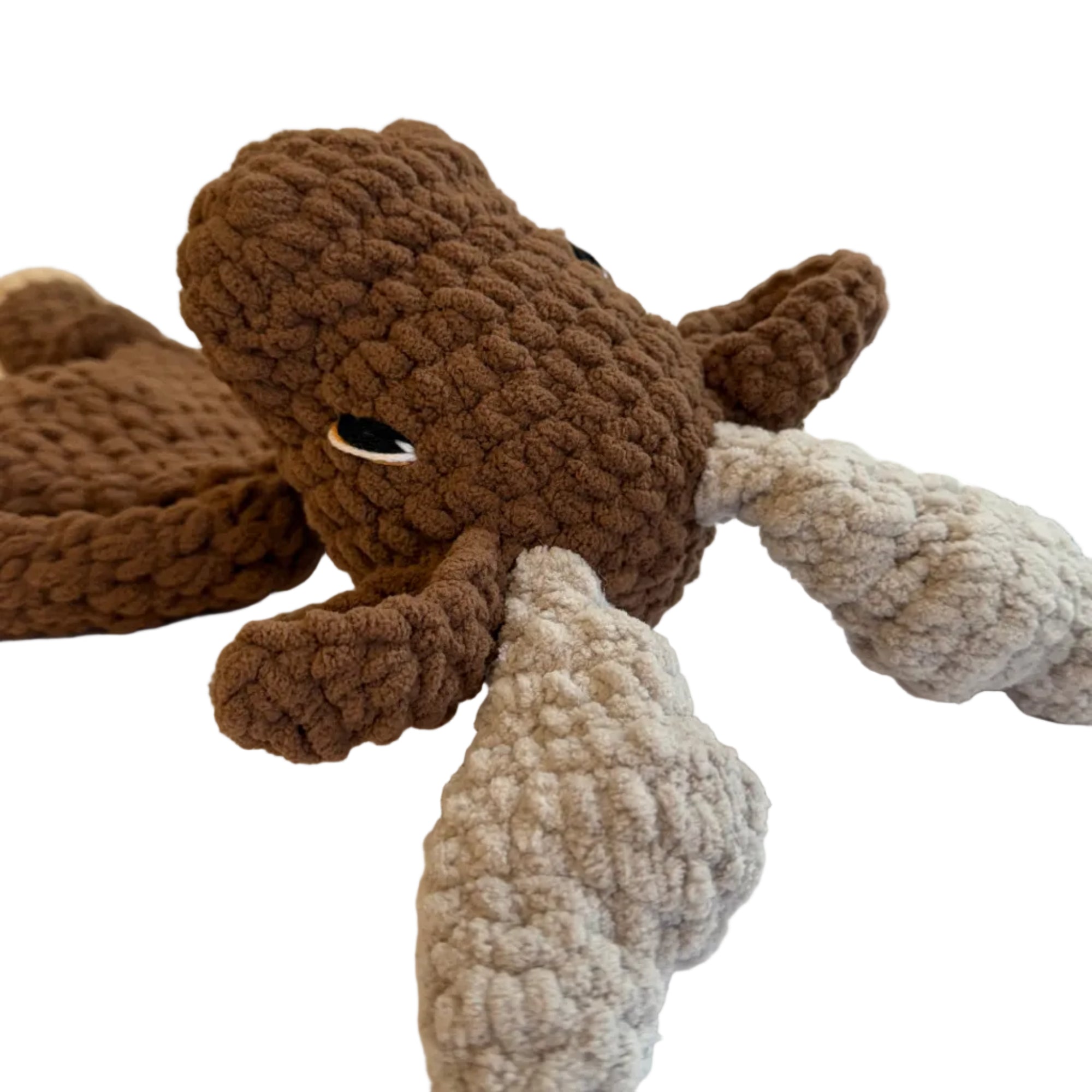 Murphy Moose