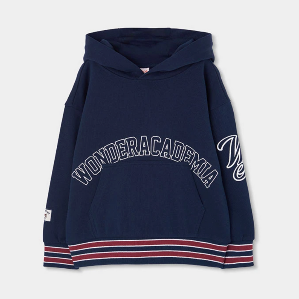 Wonderacademia Sweatshirt