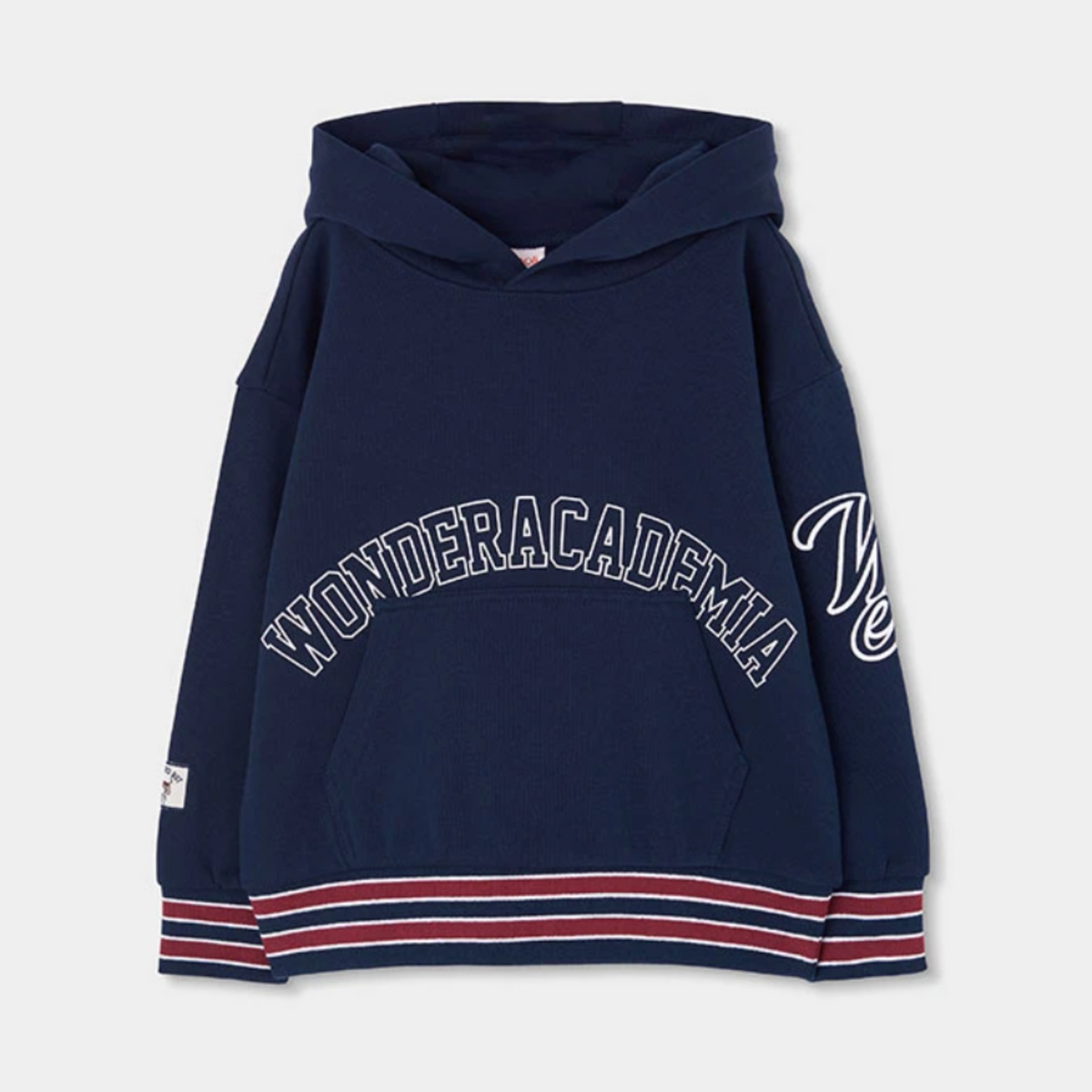 Wonderacademia Sweatshirt